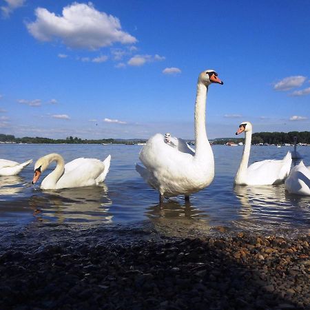 River Side Suites Beograd Eksteriør bilde