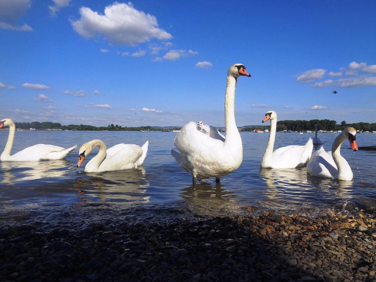 River Side Suites Beograd Eksteriør bilde